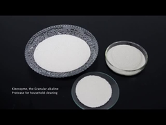 洗浄力がある酵素のプロテアーゼのセルラーゼのアミラーゼ