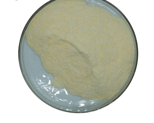 良い価格 CAS 9001-62-1 99%のリパーゼの酵素の粉の食品等級の添加物 オンライン