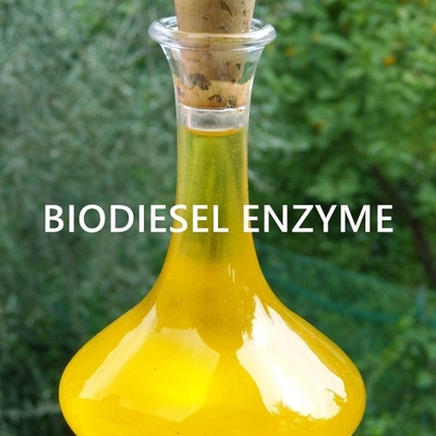 良い価格 支持できるBioenergyオイルの塗布のためのリパーゼの酵素の設計 オンライン
