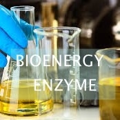 良い価格 安定したバイオディーゼル酵素生産 持続可能な燃料生産を促進する オンライン