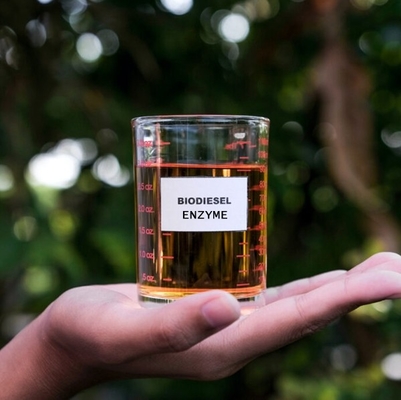 良い価格 生物燃料のリパーゼの酵素のエステル交換PH 6.0 - 8.0 オンライン