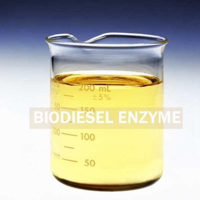 良い価格 改善されたバイオディーゼルの回復のための作り出されたBiosurfactantsのリパーゼの酵素 オンライン