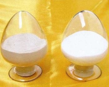 良い価格 Candida Antartica リパース CALB 動かないリパース 粒剤 薬剤酵素 オンライン