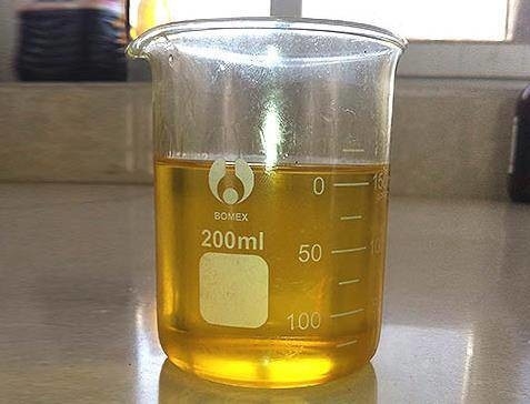 良い価格 ISO認証されたバイオディーゼル酵素 グラムスで安定性と持続可能性を促進する オンライン