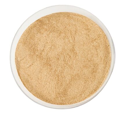 良い価格 消臭・詰まり解消用 新プロバイオティクス酵素/細菌/微生物パウダー オンライン